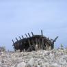 images/Schweden/Schweden 2009/IMG_4509.jpg